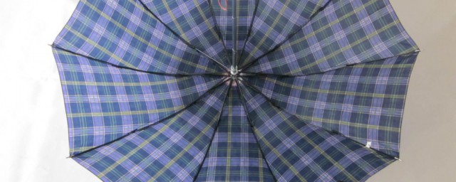 伞发霉了解决方法(伞上发霉了怎么清洁)