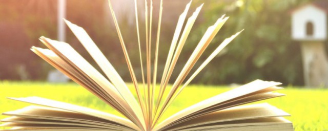 专业素养的理解(对专业素质的理解)