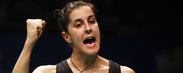 马琳的简介(马琳是什么)