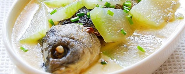 鲫鱼和冬瓜是不是相克(鲫鱼可不可以和冬瓜一起吃)