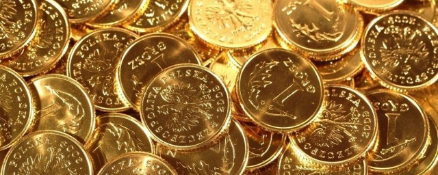 金币的拼音怎么读(金币的拼音怎么写的)