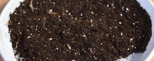 花卉怎么松土(养花怎样松土)