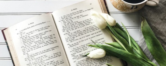 姓名的理解(姓名的解析)