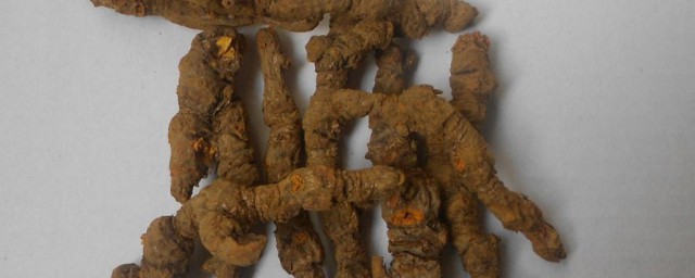 黄连哪里有(黄连哪里有修电脑的)