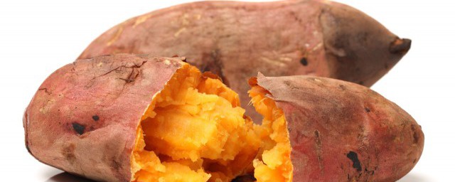 发芽的地瓜能不能吃(发芽的地瓜到底能不能吃)