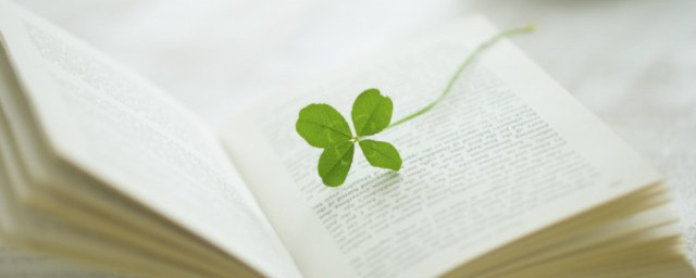 温暖怎么读(温暖怎么读音)