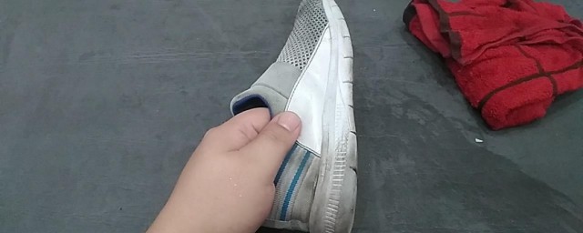 鞋刷子掉马桶里了是否会堵住(小鞋刷子掉马桶里堵了)