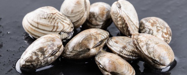 海边怎么判断有花蛤(花蛤是海里面的吗)