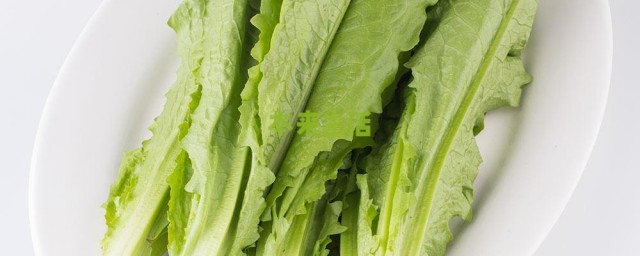 凉拌油麦菜的烹饪方法(油麦菜凉拌制作过程)