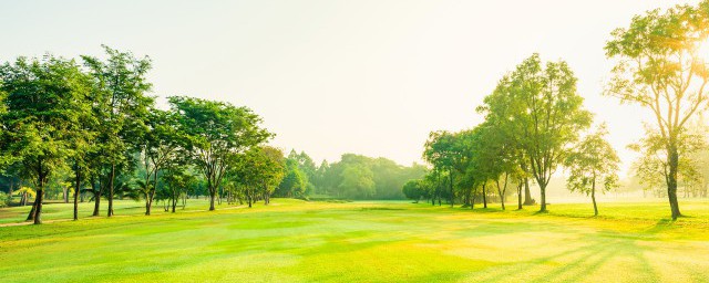 节水灌溉有哪几种方式(节水灌溉技术有哪几种)