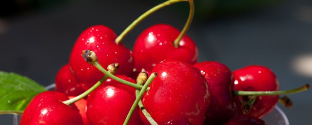 樱桃和杏子能不能一起吃(樱桃和杏能一起吃吗)