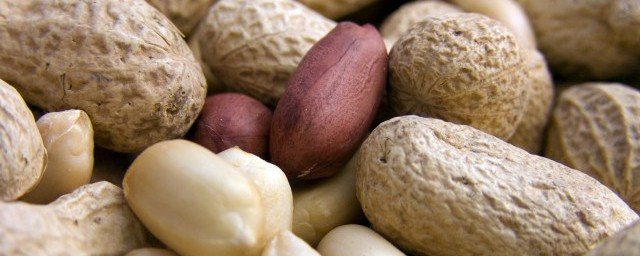 花生对胃好吗(饭前吃花生对胃好吗)