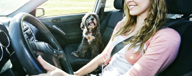 sagitar是什么牌子的车(sagttar什么车)