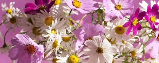 漂亮的理解(对于漂亮的理解)