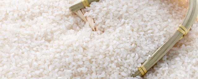 不是真空包装的大米能保存多久