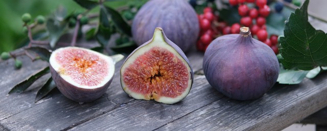 女人吃无花果有哪些好处(女人吃无花果的好处)