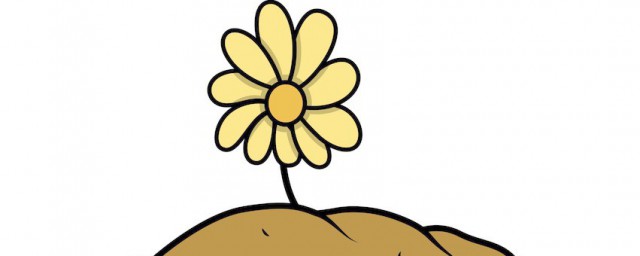 什么是双硫基复合肥(双硫基复合肥使用范围)