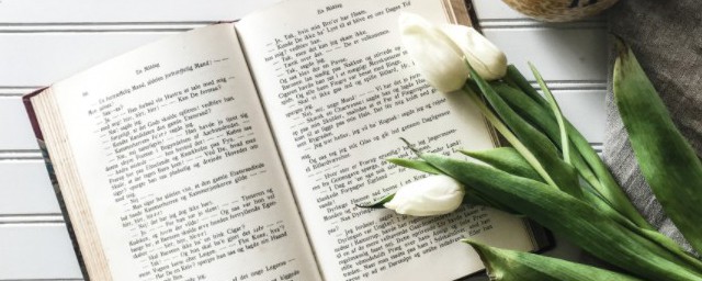 阿姨的解释(阿姨指的是)