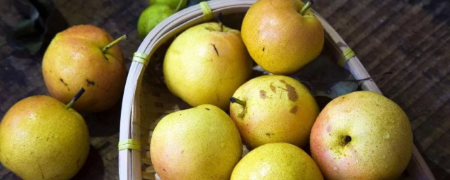 梨简介(孔融让梨简介)