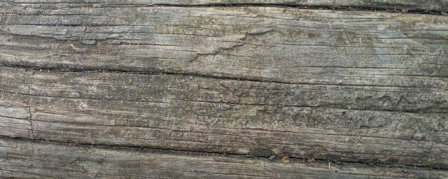 粗糙近义词有哪些(粗糙的近义词)