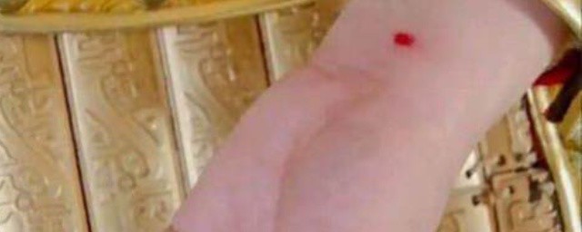 古代守宫砂是什么(古代守宫砂是什么制成的)