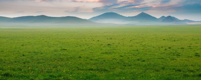 绿油油的拼音怎么读(绿油油的油拼音是什么)