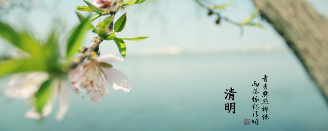 清明节的拼音是什么(清明节的拼音拼)