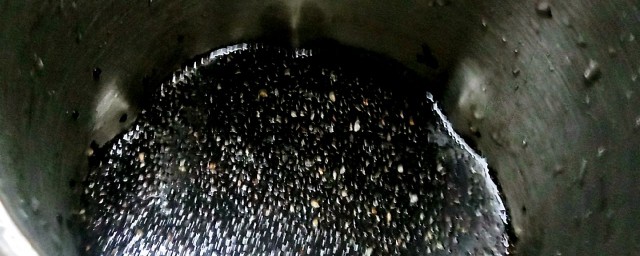 黑芝麻豆浆好喝吗(喝黑芝麻和黑豆豆浆的好处)