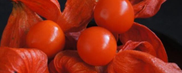 红姑娘宝宝能不能吃(红花姑娘小孩可以喝吗)