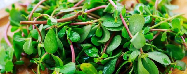 消肿散结的食物有哪些(消肿散结类的食物有哪些?)