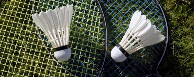 羽毛球介绍(羽毛球介绍我最喜欢的运动)