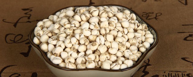 川贝加什么煮止咳快一点(川贝怎么做止咳效果最好)