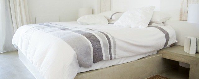 床垫有黑色的虫子是螨虫吗(床垫有小黑虫)