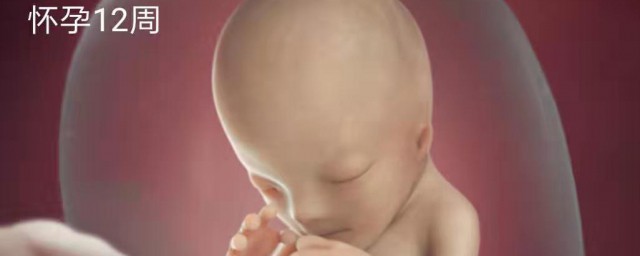 怀孕多久能看出男女?(怀孕多久能看出男女孩)