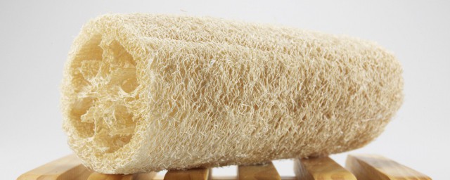 什么是丝瓜络(什么叫丝瓜络)