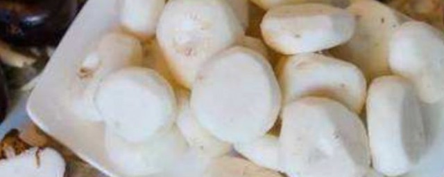 生吃马蹄的功效与作用禁忌是什么(生吃马蹄有什么好处和坏处)