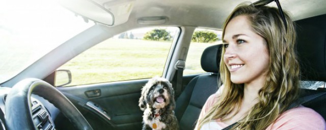 车过户需要的手续(车子过户需要的手续)