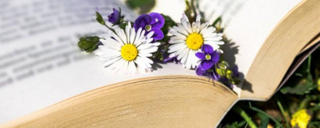 心静如水解释(心如水静的意思是什么)