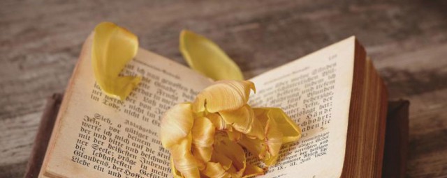 谙熟解释(谙熟的词义)