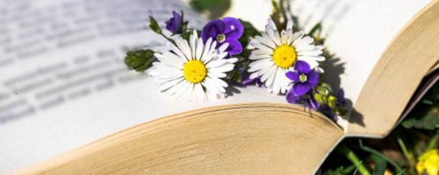 乞人不屑也屑解释(什么乞人不屑也)