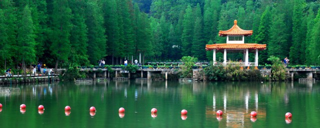 深圳一日游攻略介绍(深圳一日旅游攻略)