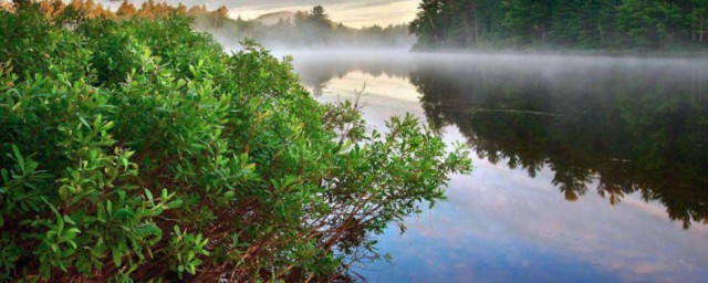 五行属水的人缺什么(五行属水的人缺什么金木水火土)