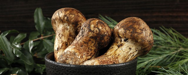 松茸的营养价值介绍(松茸的营养价值和药用价值)