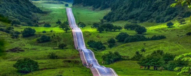 重庆周边游攻略总结(重庆周边游旅游攻略)