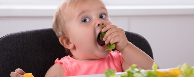 宝宝三个月能吃什么(宝宝三个月能吃什么东西)