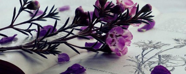 旦辞爷娘去解释(旦辞爷娘去的去是什么意思古今异义)