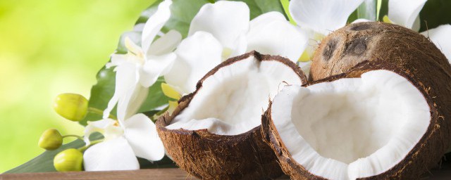 椰子保质期是多久(椰子的质保期)