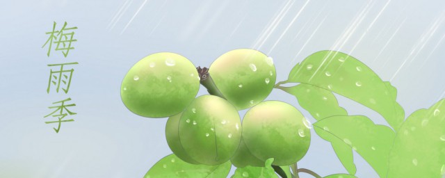 梅雨季节2021什么时间(梅雨季节2021什么时间入梅嘉兴)