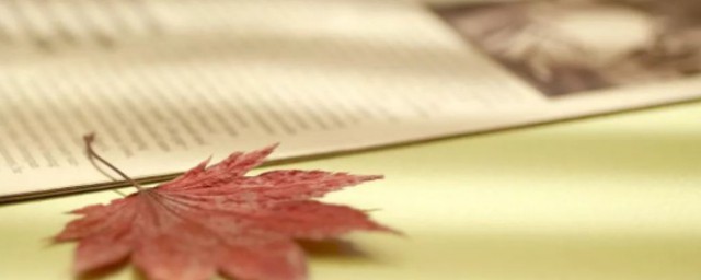 如此的解释(如此怎么解释)