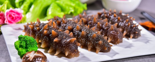 海参介绍(佰海源海参介绍)